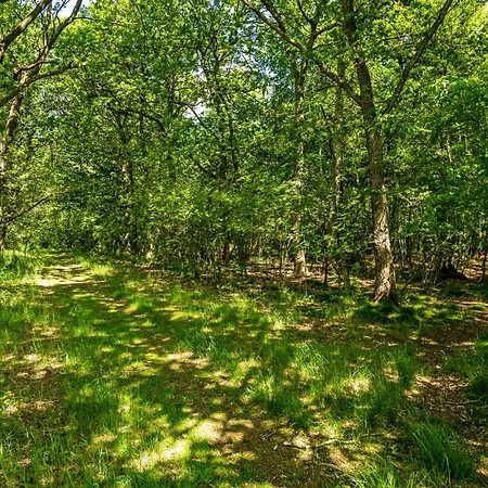 1 Bedroom In Hébergement de vacances Hampen